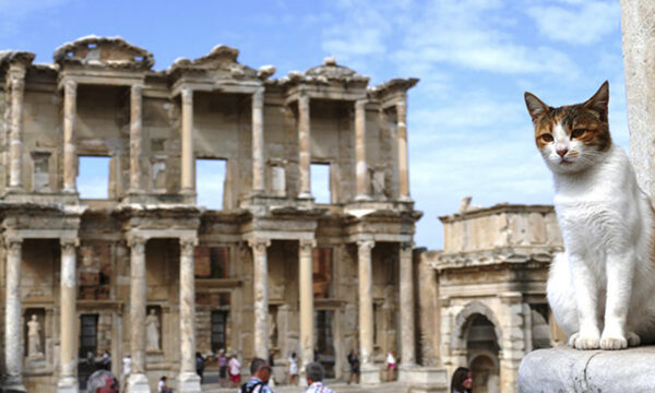 Free Walking Tour in Ephesus