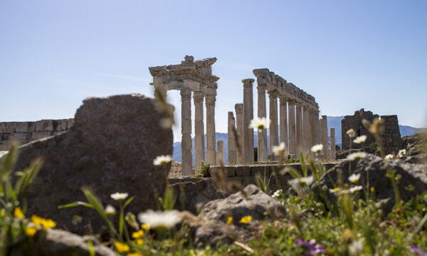 Ausflug nach Pergamon