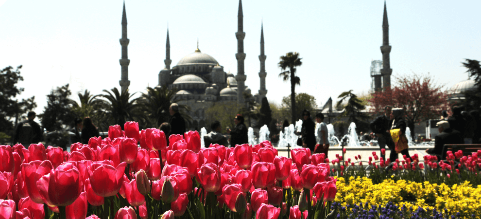 primavera en estambul 1