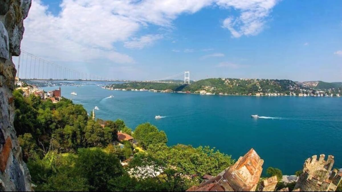 a body of water with trees and a bridge in the background